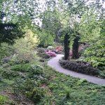 Arboretum 2016
